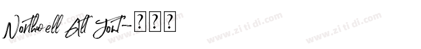 Northwell Alt Font字体转换 Northwell Alt Font字体转换